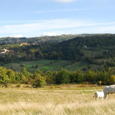 A Surrounded By Greenery - La Piaggia -app 3 Guests * Vivo d'Orcia